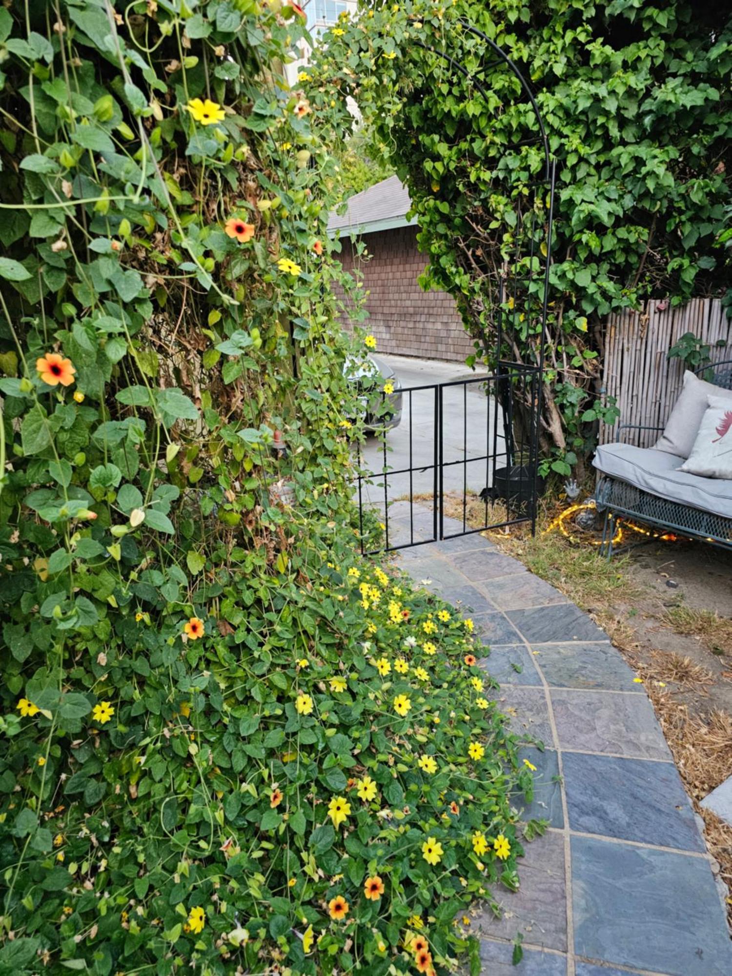 Tranquility At The House Of Alchemy Hollywood Los Angeles Exterior foto