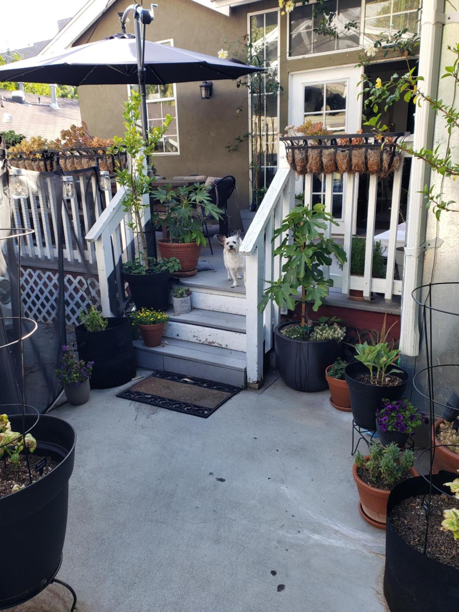 Tranquility At The House Of Alchemy Hollywood Los Angeles Exterior foto